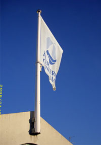 Flagga med logo