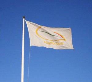 Logoflagga